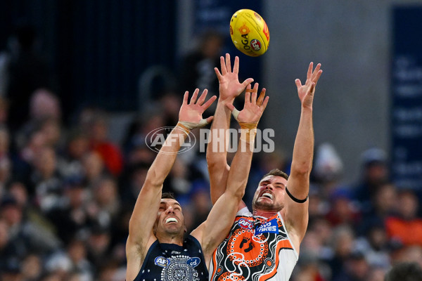 AFL 2023 Round 11 - Geelong v GWS - A-1668520