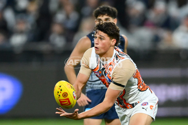 AFL 2023 Round 11 - Geelong v GWS - A-1669740