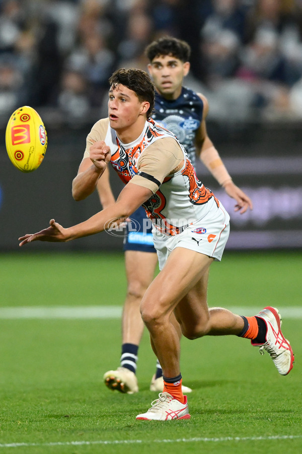 AFL 2023 Round 11 - Geelong v GWS - A-1669742