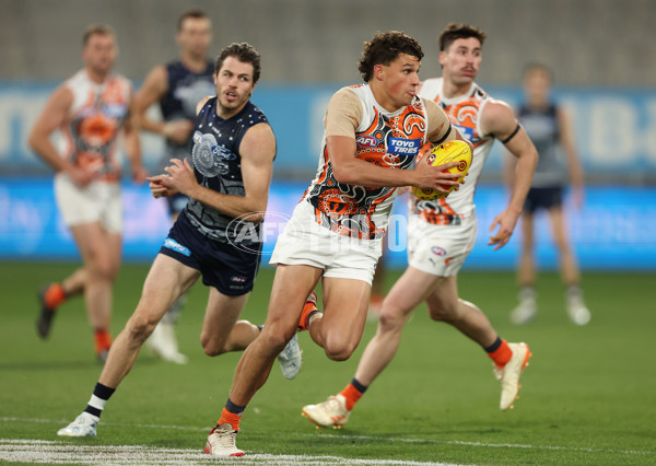 AFL 2023 Round 11 - Geelong v GWS - A-1669761