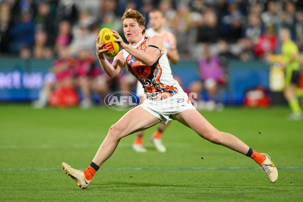 AFL 2023 Round 11 - Geelong v GWS - A-1669784