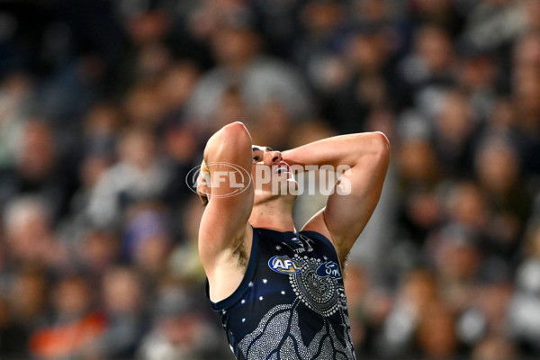 AFL 2023 Round 11 - Geelong v GWS - A-1669816