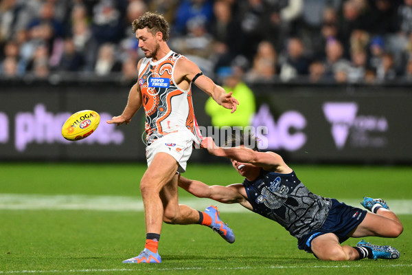 AFL 2023 Round 11 - Geelong v GWS - A-1671752