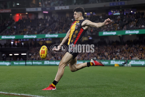 AFL 2023 Round 11 - St Kilda v Hawthorn - A-1672897