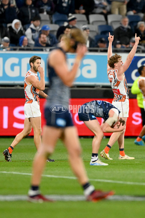 AFL 2023 Round 11 - Geelong v GWS - A-1672956