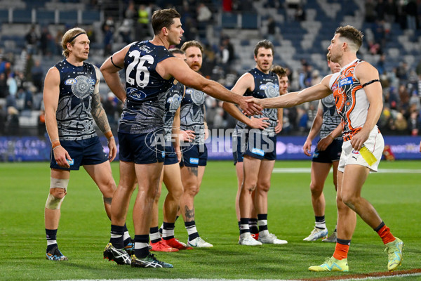 AFL 2023 Round 11 - Geelong v GWS - A-1676096