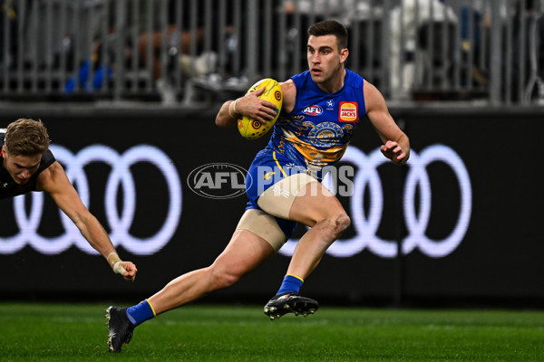 AFL 2023 Round 11 - West Coast v Essendon - A-1679780