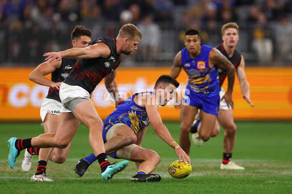 AFL 2023 Round 11 - West Coast v Essendon - A-1684283