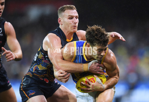 AFL 2023 Round 11 - Adelaide v Brisbane - A-1698339