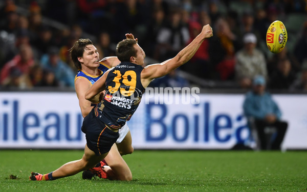 AFL 2023 Round 11 - Adelaide v Brisbane - A-1700191