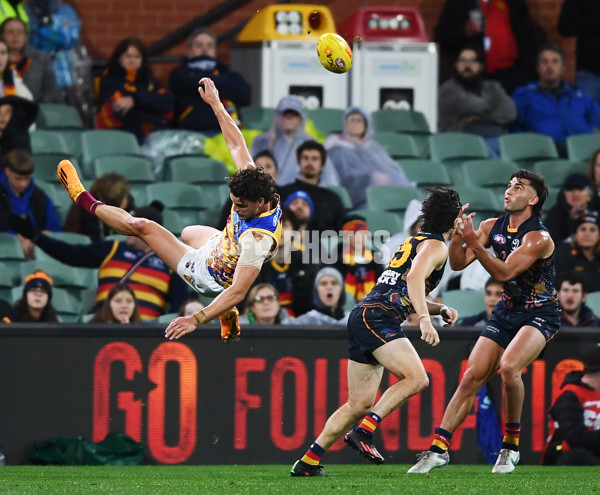 AFL 2023 Round 11 - Adelaide v Brisbane - A-1700194