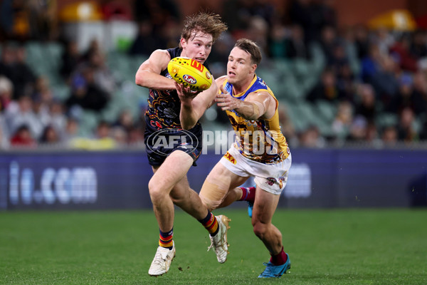 AFL 2023 Round 11 - Adelaide v Brisbane - A-1701466