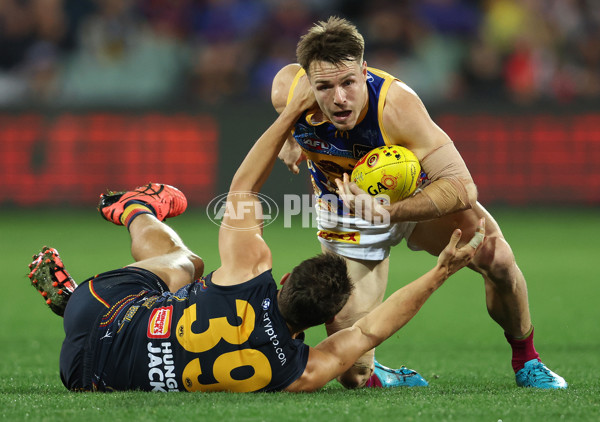 AFL 2023 Round 11 - Adelaide v Brisbane - A-1701481