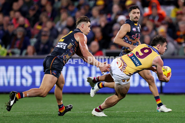 AFL 2023 Round 11 - Adelaide v Brisbane - A-1701527