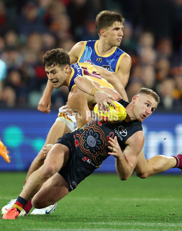 AFL 2023 Round 11 - Adelaide v Brisbane - A-1703569