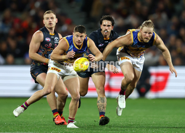 AFL 2023 Round 11 - Adelaide v Brisbane - A-1703593