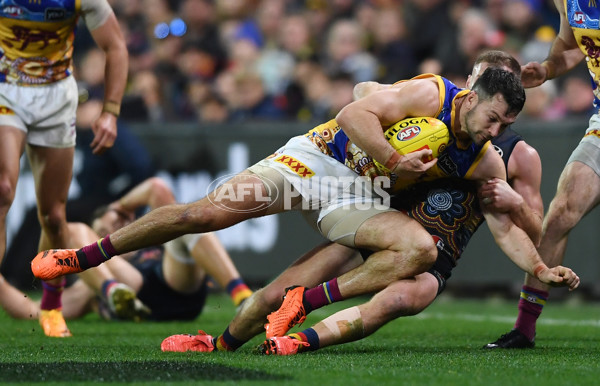 AFL 2023 Round 11 - Adelaide v Brisbane - A-1704598