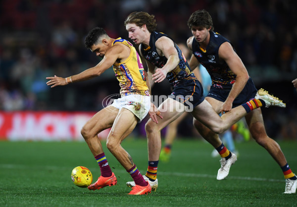 AFL 2023 Round 11 - Adelaide v Brisbane - A-1704627