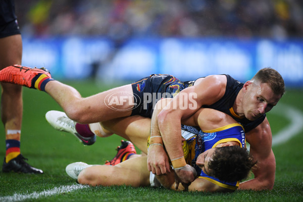 AFL 2023 Round 11 - Adelaide v Brisbane - A-1704634