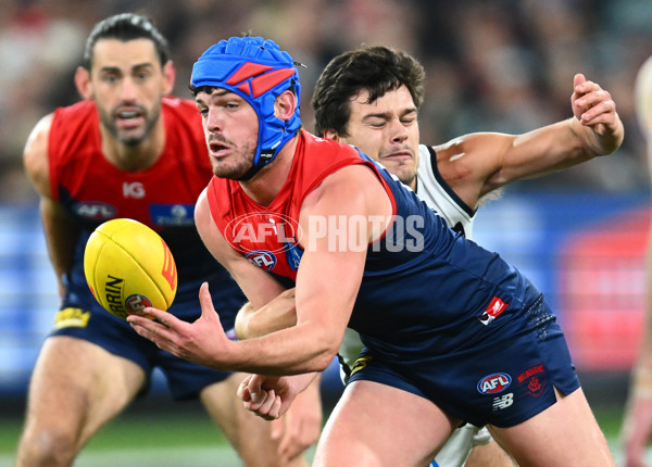 AFL 2023 Round 12 - Melbourne v Carlton - A-1713718