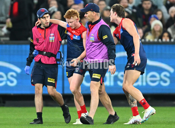 AFL 2023 Round 12 - Melbourne v Carlton - A-1723989