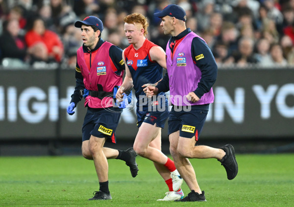 AFL 2023 Round 12 - Melbourne v Carlton - A-1723990