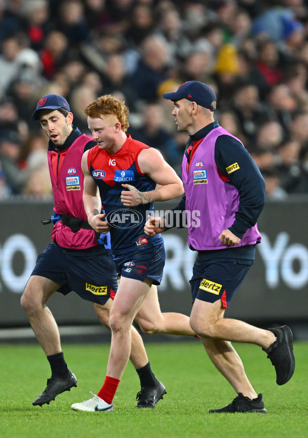 AFL 2023 Round 12 - Melbourne v Carlton - A-1723992