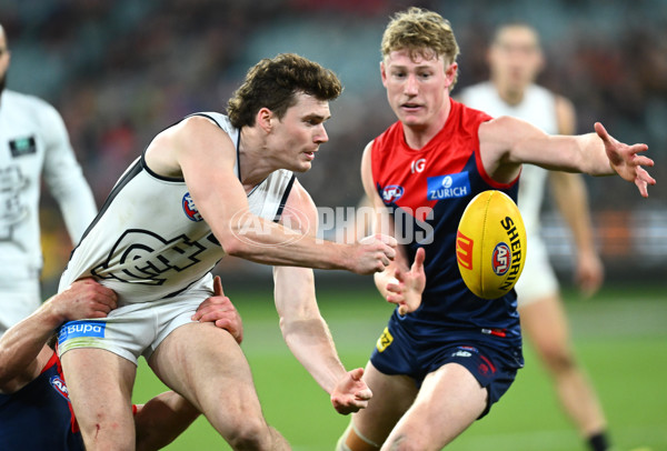 AFL 2023 Round 12 - Melbourne v Carlton - A-1724029