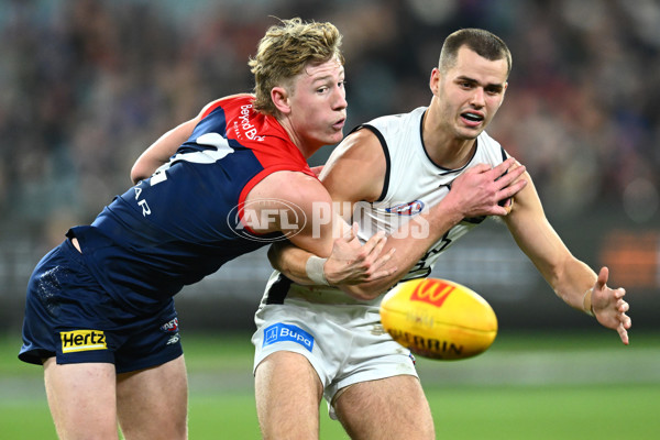 AFL 2023 Round 12 - Melbourne v Carlton - A-1724030