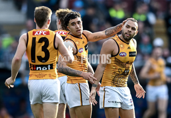 AFL 2023 Round 12 - Port Adelaide v Hawthorn - A-1724046