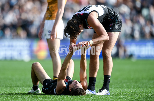 AFL 2023 Round 12 - Port Adelaide v Hawthorn - A-1724051