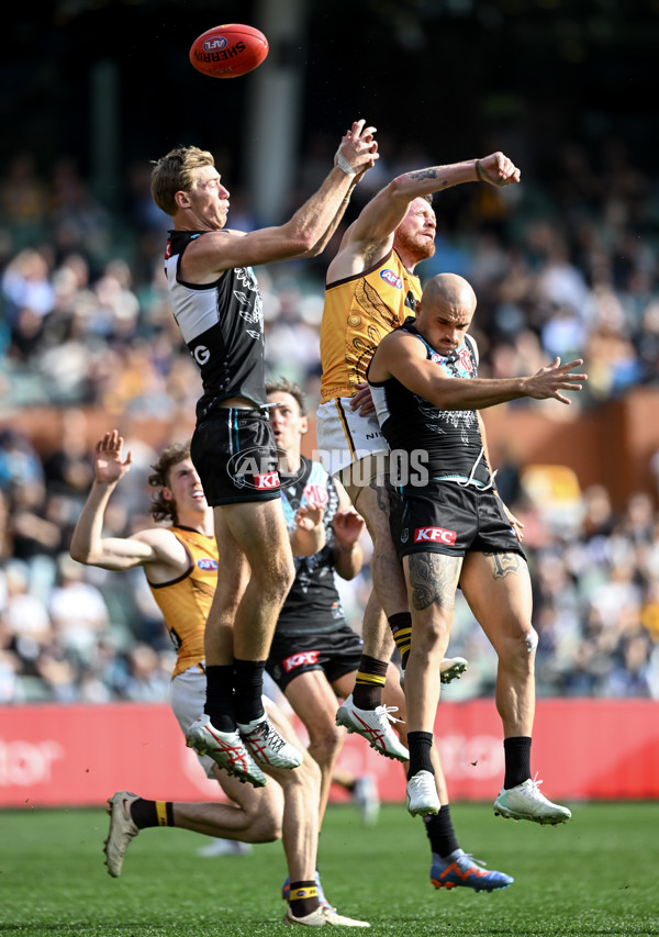 AFL 2023 Round 12 - Port Adelaide v Hawthorn - A-1724053