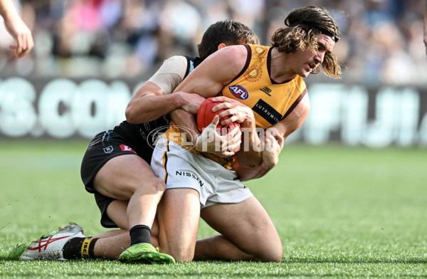 AFL 2023 Round 12 - Port Adelaide v Hawthorn - A-1724055