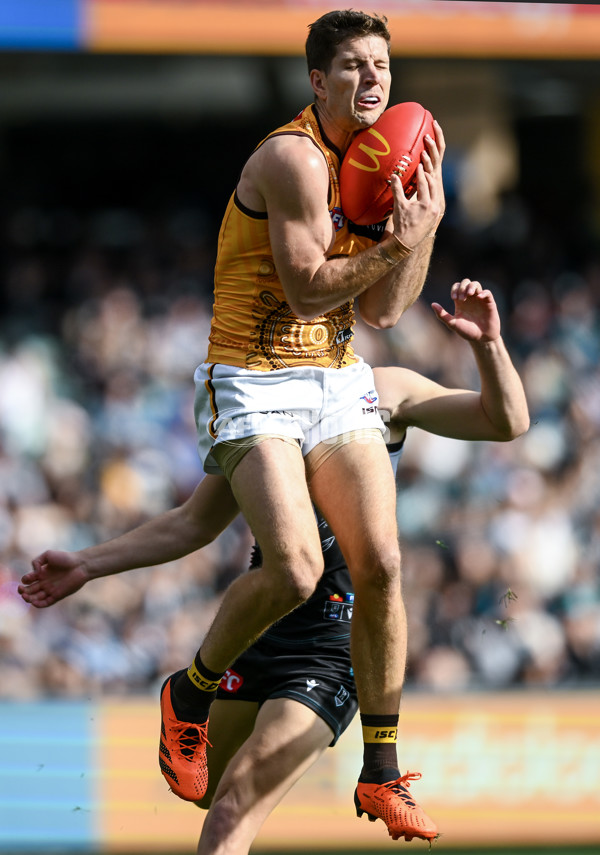 AFL 2023 Round 12 - Port Adelaide v Hawthorn - A-1725204