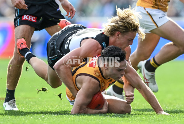 AFL 2023 Round 12 - Port Adelaide v Hawthorn - A-1725207