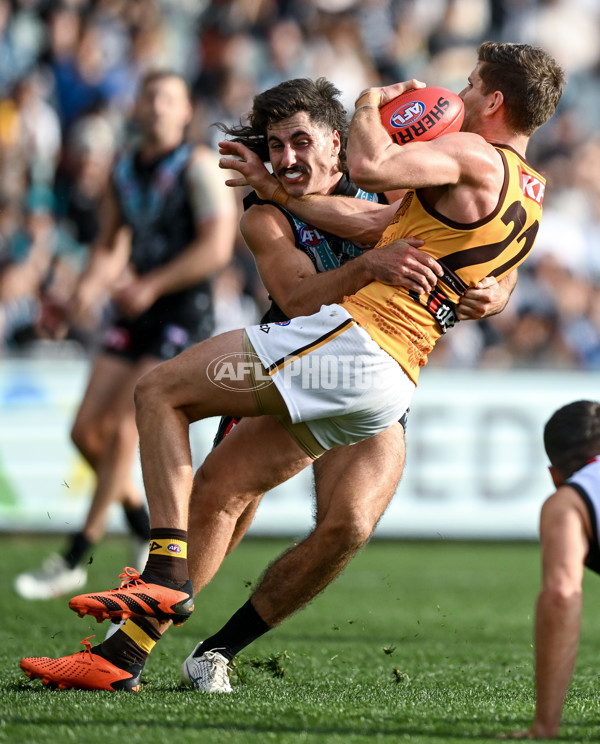 AFL 2023 Round 12 - Port Adelaide v Hawthorn - A-1725241