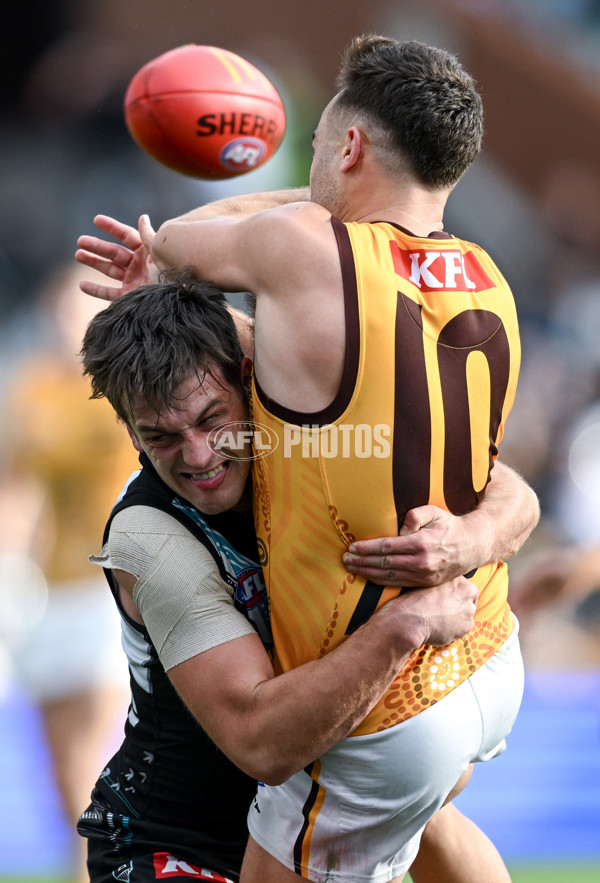 AFL 2023 Round 12 - Port Adelaide v Hawthorn - A-1725243