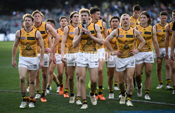 AFL 2023 Round 12 - Port Adelaide v Hawthorn - A-1725245