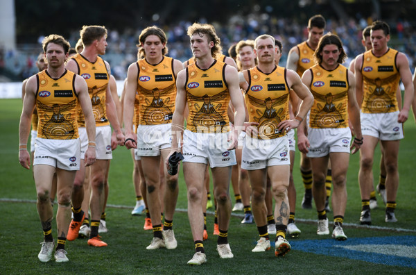 AFL 2023 Round 12 - Port Adelaide v Hawthorn - A-1725247