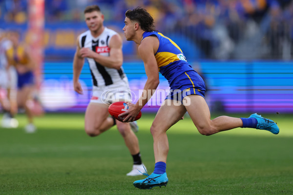 AFL 2023 Round 12 - West Coast v Collingwood - A-1725248