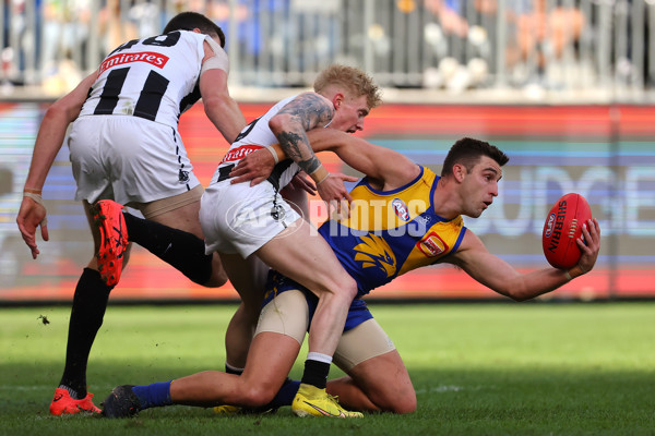 AFL 2023 Round 12 - West Coast v Collingwood - A-1725251