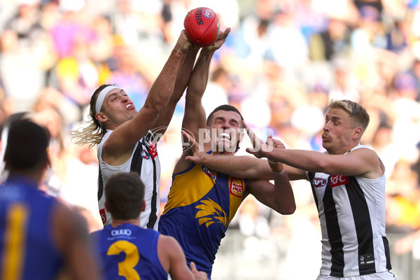 AFL 2023 Round 12 - West Coast v Collingwood - A-1725255