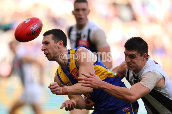 AFL 2023 Round 12 - West Coast v Collingwood - A-1725258