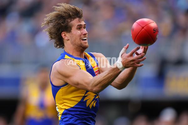 AFL 2023 Round 12 - West Coast v Collingwood - A-1728829