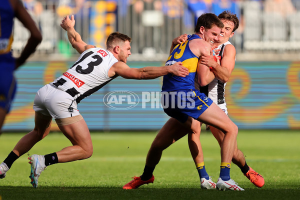 AFL 2023 Round 12 - West Coast v Collingwood - A-1728849