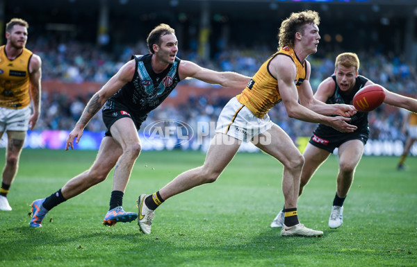 AFL 2023 Round 12 - Port Adelaide v Hawthorn - A-1728876