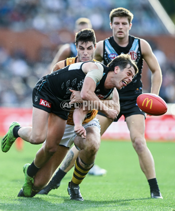 AFL 2023 Round 12 - Port Adelaide v Hawthorn - A-1728889