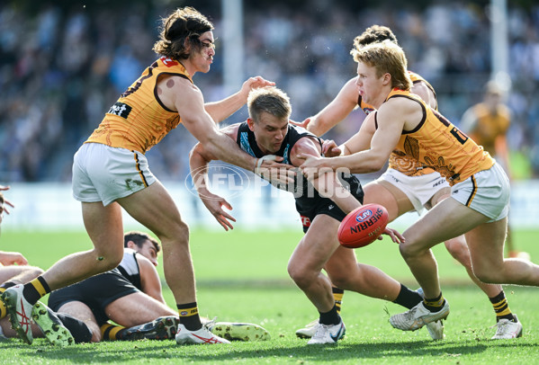 AFL 2023 Round 12 - Port Adelaide v Hawthorn - A-1728906