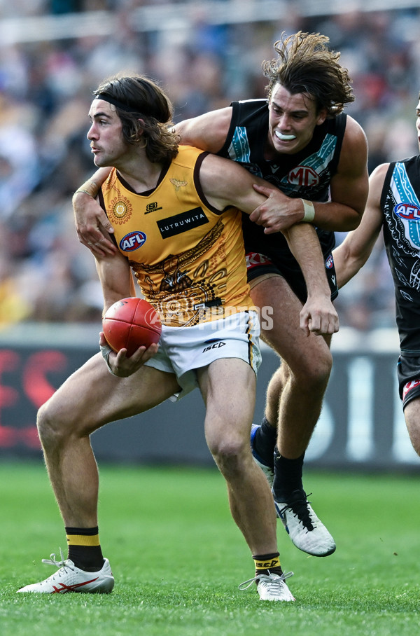 AFL 2023 Round 12 - Port Adelaide v Hawthorn - A-1730662