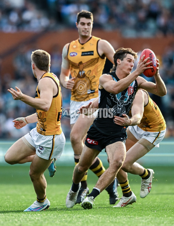 AFL 2023 Round 12 - Port Adelaide v Hawthorn - A-1730664